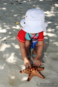 Malipano Island - Gab and Starfish