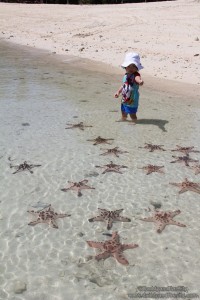 Malipano Island - Gab counts Starfishes