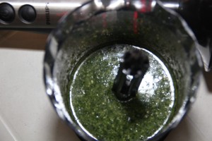 Malunggay Pesto - Mixed